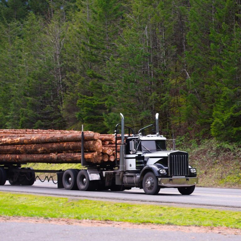 Tractor-trailer and trucking company records used to determine liability